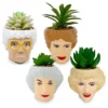 Silver Buffalo The Golden Girls Face Mini Ceramic Planter With Faux Succulent | Set Of 4 -Greenery Decor Store GUEST 56a589f3 cfd0 445e ab95 40c295b96404