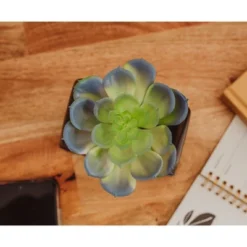 Batman Bat Logo 9x5 Inch Ceramic Planter W/ Artificial Plant -Greenery Decor Store GUEST 56ac2a18 018b 45ea 9fbd d3519d99cabe