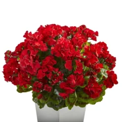 Nearly Natural 27-in Geranium Artificial Plant In White Planter UV Resistant (Indoor/Outdoor), White -Greenery Decor Store GUEST 59bc723a d0b5 45e5 b0c5 b31d425bc2a8