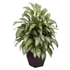 Nearly Natural Silver Queen W/Decorative Planter Silk Plant 38" -Greenery Decor Store GUEST 59f61cfe 6e42 4346 a8f0 c25f1bcf0e4d