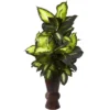 Nearly Natural Golden Dieffenbachia With Bamboo Planter -Greenery Decor Store GUEST 5ba3fa04 0a0c 48e2 bf79 2cd8011eca85