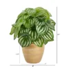 Nearly Natural 11-in Watermelon Peperomia Artificial Plant In Ceramic Planter (Real Touch) 2 Nearly Natural 11-in Watermelon Peperomia Artificial Plant In Ceramic Planter (Real Touch) -Greenery Decor Store GUEST 5d755e25 a6de 4472 a47b 22bfb2726a72