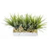 Nearly Natural Vanilla Grass In Rectangular Planter -Greenery Decor Store GUEST 6216db2d 1472 41a8 99cc fcd8cd169ae1