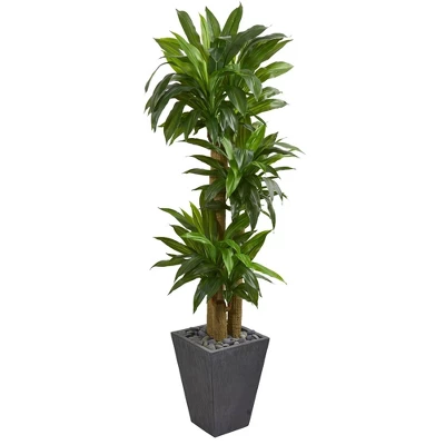Nearly Natural 5.5-ft Cornstalk Dracaena Artificial Plant In Slate Planter (Real Touch) 3 Nearly Natural 5.5-ft Cornstalk Dracaena Artificial Plant In Slate Planter (Real Touch)