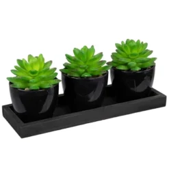 Northlight Mini Artificial Potted Succulents With Wood Planter - 5" - Set Of 3 -Greenery Decor Store GUEST 6715a7b8 3050 436a a2b3 fe656052e9f1