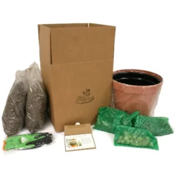 Van Zyverden 41ct Bulbs Affinity Multicolored Spring Blooming Patio Planter Set 9 Van Zyverden 41ct Bulbs Affinity Multicolored Spring Blooming Patio Planter Set -Greenery Decor Store GUEST 6988b6f0 ca0d 4b9e 921d 351965d5cf61