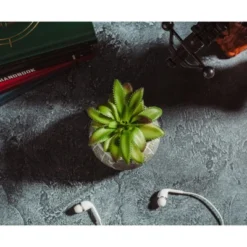 Silver Buffalo Star Wars Death Star 3-Inch Ceramic Mini Planter With Artificial Succulent -Greenery Decor Store GUEST 6e9a551d 0398 4b1a 973b 42bc94d8970c