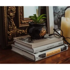 Silver Buffalo Harry Potter Hogwarts Cauldron Ceramic Mini Planter With Artificial Succulent -Greenery Decor Store GUEST 6ed8bc26 355e 4c05 a60e 9091e65a9979