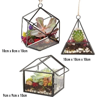 D'Eco Glass Geometric Plant Terrarium 3Pk - Hanging Triangle, House & Prism Planters - Home, Garden & Office Botanical Decor - Gift For Plant Lovers 3 D'Eco Glass Geometric Plant Terrarium 3Pk - Hanging Triangle, House & Prism Planters - Home, Garden & Office Botanical Decor - Gift For Plant Lovers - Image 2