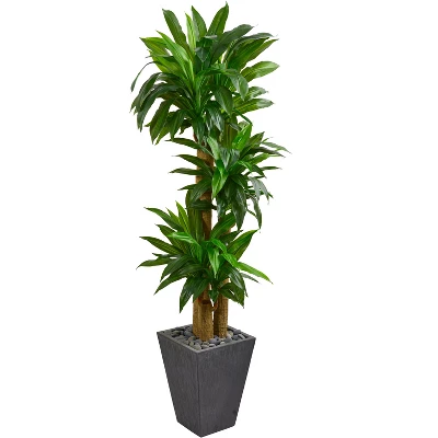 Nearly Natural 5.5-ft Cornstalk Dracaena Artificial Plant In Slate Planter (Real Touch) 4 Nearly Natural 5.5-ft Cornstalk Dracaena Artificial Plant In Slate Planter (Real Touch) - Image 2
