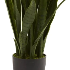 Nearly Natural Sansevieria With Black Planter -Greenery Decor Store GUEST 719febc9 f088 4073 9b7a 5b9f27b56d6b
