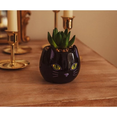 Silver Buffalo Disney Hocus Pocus "Binx Is My Boo" Ceramic Planter With Artificial Succulent 5 Silver Buffalo Disney Hocus Pocus "Binx Is My Boo" Ceramic Planter With Artificial Succulent - Image 3