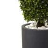 50" Boxwood Topiary With Gray Cylindrical Planter - Nearly Natural 1 50" Boxwood Topiary With Gray Cylindrical Planter - Nearly Natural -Greenery Decor Store GUEST 74e59759 3762 493a 8560 ed79dac11e66