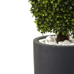 50" Boxwood Topiary With Gray Cylindrical Planter - Nearly Natural