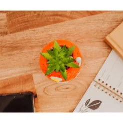 Nickelodeon Silver Buffalo SpongeBob Pineapple House 5-Inch Ceramic Planter With Artificial Succulent -Greenery Decor Store GUEST 7934f043 22eb 4922 923a 07cc9bee088a