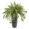 Nearly Natural 33-in Spider Artificial Plant In Cylinder Planter -Greenery Decor Store GUEST 7ae799dd f88f 46a9 b505 f4c8323123d7