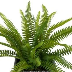 Northlight 20" Boston Fern Artificial Plant In Weathered Square Planter - Green/Gray -Greenery Decor Store GUEST 7bb3f4ea caa1 4b99 8453 8baa76f93982