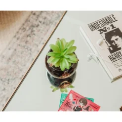 Silver Buffalo Harry Potter Hogwarts Cauldron Ceramic Mini Planter With Artificial Succulent -Greenery Decor Store GUEST 7bbb01cb dbc4 4d55 8c3c e5898301ad3b
