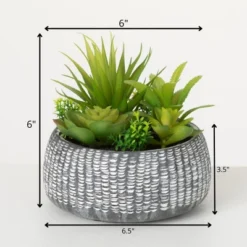 Sullivans Artificial Succulent In Cement Planter 6"H Green -Greenery Decor Store GUEST 85268cda a12b 454c b4f2 bb17536087cc