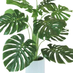 36" X 18" Artificial Monstera Plant In Ceramic Planter White - LCG Florals -Greenery Decor Store GUEST 8668c71d d4bb 45e3 ada3 a90e10434c90