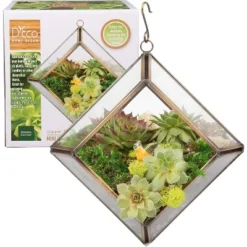 D'Eco Glass Mini Diamond Plant Terrarium (5 X 5 X 3.5") - Indoor Tabletop Copper Geometric Planter Holiday Decor - Christmas Gift For Plant Lovers -Greenery Decor Store GUEST 897e7972 5ff8 4cc8 88d4 e338934378b6