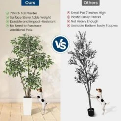 6ft Artificial Ficus Tree,Tall Faux Floor Plant With White Tall Planter White-Edged Leaves,Faux Greenery Tree For Garden Decor -Greenery Decor Store GUEST 89bf38b2 f17d 41a8 8585 08dcadac7a97