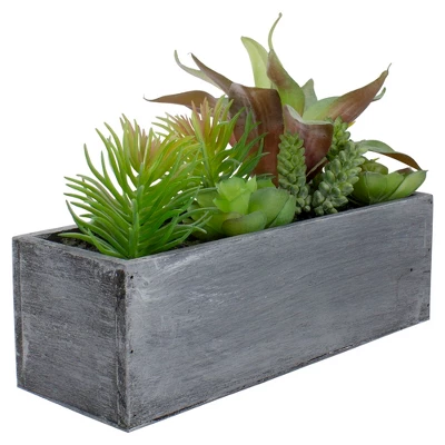 Northlight 12" Artificial Mixed Succulent Plants In A Rectangular Planter 4 Northlight 12" Artificial Mixed Succulent Plants In A Rectangular Planter - Image 2
