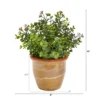 Nearly Natural 10-in Eucalyptus And Sedum Succulent Artificial Plant In Ceramic Planter -Greenery Decor Store GUEST 8bcb324f 6813 465b 80d9 5318062445a9