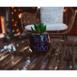 Silver Buffalo Disney Hocus Pocus "Binx Is My Boo" Ceramic Planter With Artificial Succulent 11 Silver Buffalo Disney Hocus Pocus "Binx Is My Boo" Ceramic Planter With Artificial Succulent -Greenery Decor Store GUEST 8befd341 1d34 4d8d 828c 558261532501