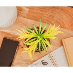 Silver Buffalo Marvel Guardians Of The Galaxy Groot 4.8 X 4.25 X 7.6 Inch Ceramic Planter W/ Artificial Plant 10 Silver Buffalo Marvel Guardians Of The Galaxy Groot 4.8 X 4.25 X 7.6 Inch Ceramic Planter W/ Artificial Plant -Greenery Decor Store GUEST 8e5700e1 bf40 4da7 8ea7 7eb42e693483