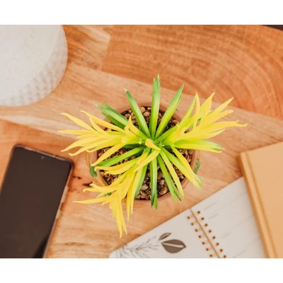 Silver Buffalo Marvel Guardians Of The Galaxy Groot 4.8 X 4.25 X 7.6 Inch Ceramic Planter W/ Artificial Plant 6 Silver Buffalo Marvel Guardians Of The Galaxy Groot 4.8 X 4.25 X 7.6 Inch Ceramic Planter W/ Artificial Plant - Image 4