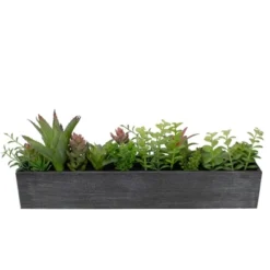 Northlight 23" Artificial Mixed Succulent Plants In A Rectangular Planter -Greenery Decor Store GUEST 8ef18065 5d8e 48e4 9574 5da9f8739640