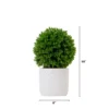 Nearly Natural 10-in Artificial Boxwood Topiary Plant With Decorative Planter -Greenery Decor Store GUEST 8f366db4 5c58 48da 9f77 14549afe3332