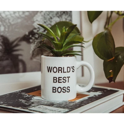Silver Buffalo The Office "World's Best Boss" 3-Inch Ceramic Mini Planter With Artificial Succulent 5 Silver Buffalo The Office "World's Best Boss" 3-Inch Ceramic Mini Planter With Artificial Succulent - Image 3