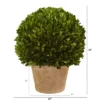 Nearly Natural 15-in Boxwood Ball Preserved Plant In Planter 2 Nearly Natural 15-in Boxwood Ball Preserved Plant In Planter -Greenery Decor Store GUEST 953215b5 ec0c 4cfd b59a 2a50d15d65de