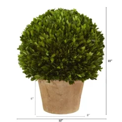 Nearly Natural 15-in Boxwood Ball Preserved Plant In Planter