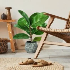 Greenery Decor Store -Greenery Decor Store GUEST 95b24cfa 40c5 49e5 9afe 842686a8c8ef