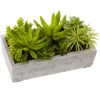 Nearly Natural Succulent Garden With Concrete Planter -Greenery Decor Store GUEST 9689dae4 737c 4d4b baf9 7fcb511f347b