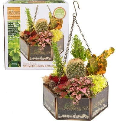 D'Eco Glass Geometric DIY Terrarium, Succulent & Air Plant- Hanging Mini Hexagon Shaped For Indoor Gardening Decor- Create Your Own Centerpiece 4 D'Eco Glass Geometric DIY Terrarium, Succulent & Air Plant- Hanging Mini Hexagon Shaped For Indoor Gardening Decor- Create Your Own Centerpiece - Image 3
