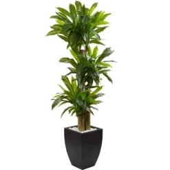 Nearly Natural 5.5-ft Corn Stalk Dracaena With Black Wash Planter
