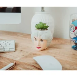 Silver Buffalo The Golden Girls Dorothy 3-Inch Ceramic Mini Planter With Artificial Succulent -Greenery Decor Store GUEST 9bf02ea4 3632 411d 8b68 3afc68a710aa