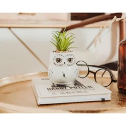 Silver Buffalo Harry Potter Hedwig 3-Inch Ceramic Mini Planter With Artificial Succulent -Greenery Decor Store GUEST 9f5c84a2 adf7 4126 ad6a 0dcb28c52f15