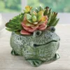 Collections Etc Charming Frog Planter With Artificial Succulents 6 X 5 X 4.5 -Greenery Decor Store GUEST a2796d20 c75f 411d bbb4 1486d1fd10f9