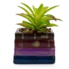 Silver Buffalo Harry Potter Book Stack 3-Inch Ceramic Planter With Artificial Succulent