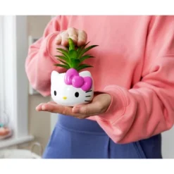 Silver Buffalo Sanrio Hello Kitty Face 3-Inch Ceramic Mini Planter With Artificial Succulent -Greenery Decor Store GUEST a96b7301 29ee 45a2 8e73 6d9de0e15b06