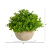 Nearly Natural 5-in Boxwood Artificial Plant In Decorative Planter