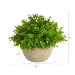 Nearly Natural 5-in Boxwood Artificial Plant In Decorative Planter