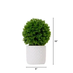 Nearly Natural 10-in Artificial Boxwood Topiary Plant With Decorative Planter -Greenery Decor Store GUEST acee93a7 3ab4 4157 b263 9601ba64266a