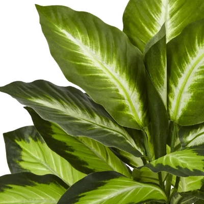 22" X 15" Artificial Dieffenbachia Plant In Swirl Planter - Nearly Natural 3 22" X 15" Artificial Dieffenbachia Plant In Swirl Planter - Nearly Natural