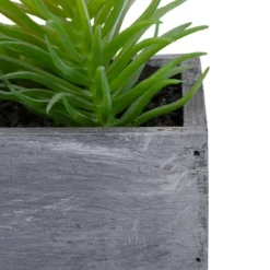 Northlight 12" Artificial Mixed Succulent Plants In A Rectangular Planter 9 Northlight 12" Artificial Mixed Succulent Plants In A Rectangular Planter -Greenery Decor Store GUEST b082e321 68c6 4a6d 9584 3672f07fc35e